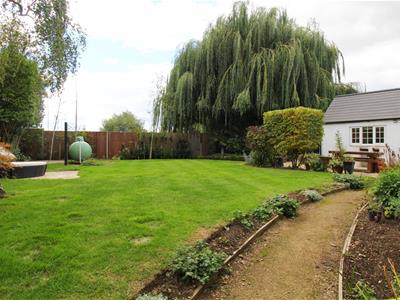 Picture 24
